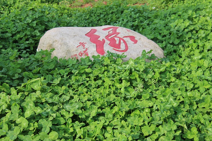 7缘石