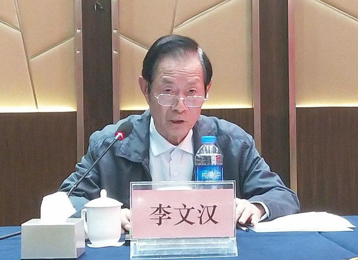 6.李文汉 - 副本 (2)