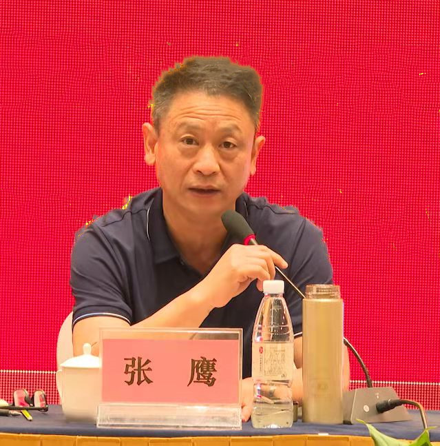 张鹰